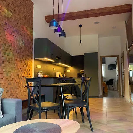 Kalina Z Sauna, Klimatyzacja I 2 Lazienkami - Wyszynskiego 9 *
