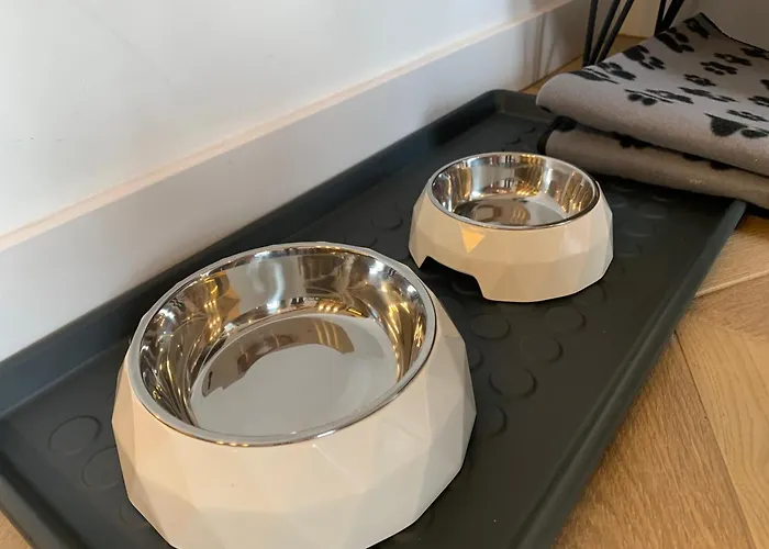 Apartamenty Kalina - Wyszynskiego Apartmán Świeradów-Zdrój